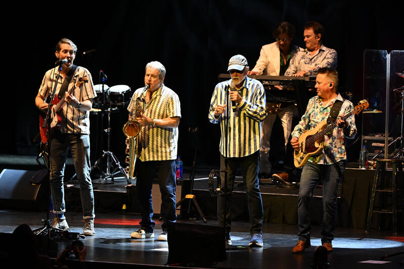 The Beach Boys: The Sounds of Summer Tour