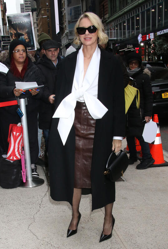 Song Sung Blue NY Screening