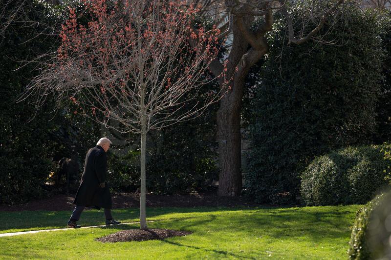 Trump Arrives from Dover, DE