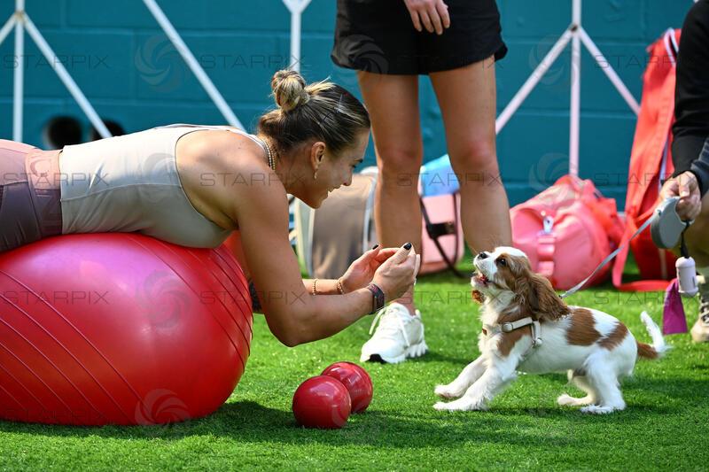 Miami Open 2026 held at Hard Rock Stadium.