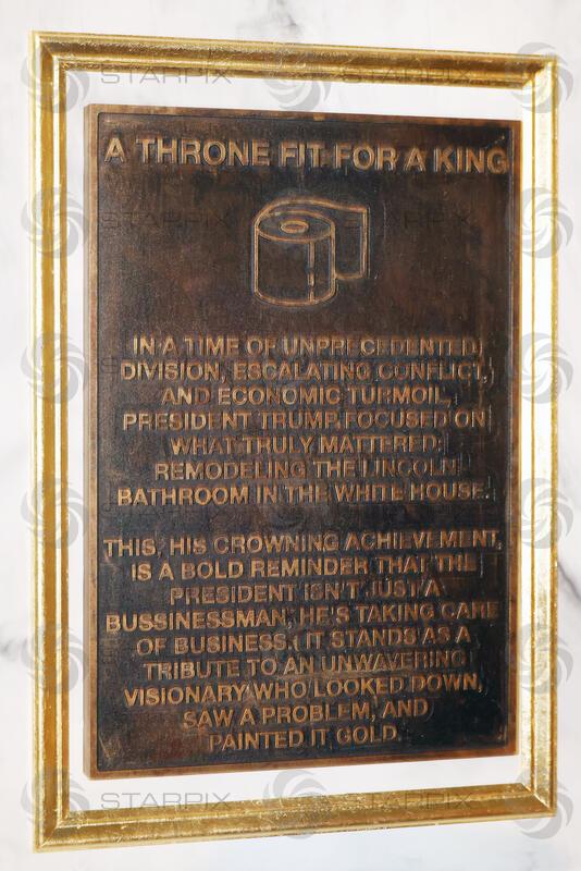 Throne placed at The National Mall in critque of President Trump