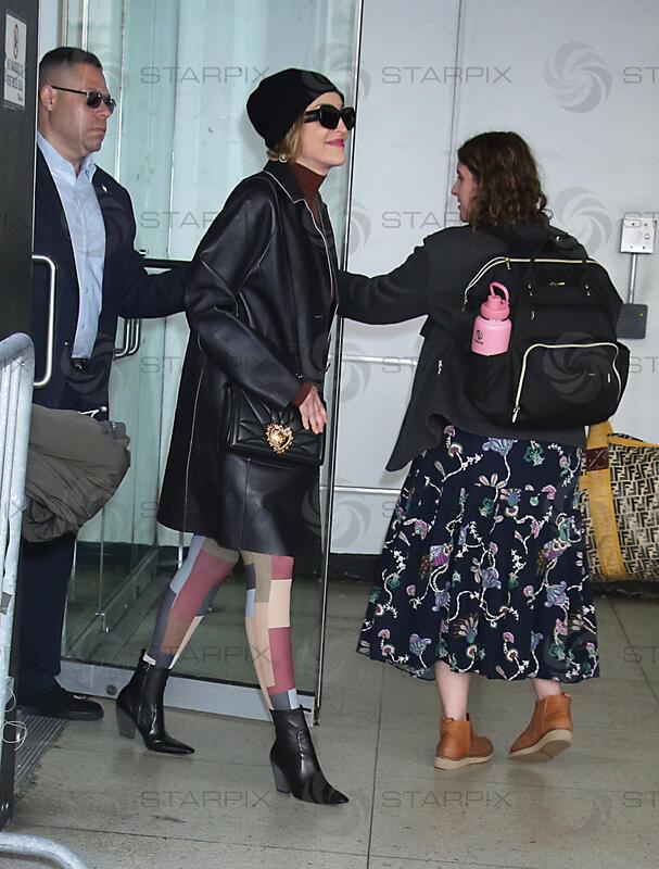 Sharon Stone seen at The Drew Barrymore Show