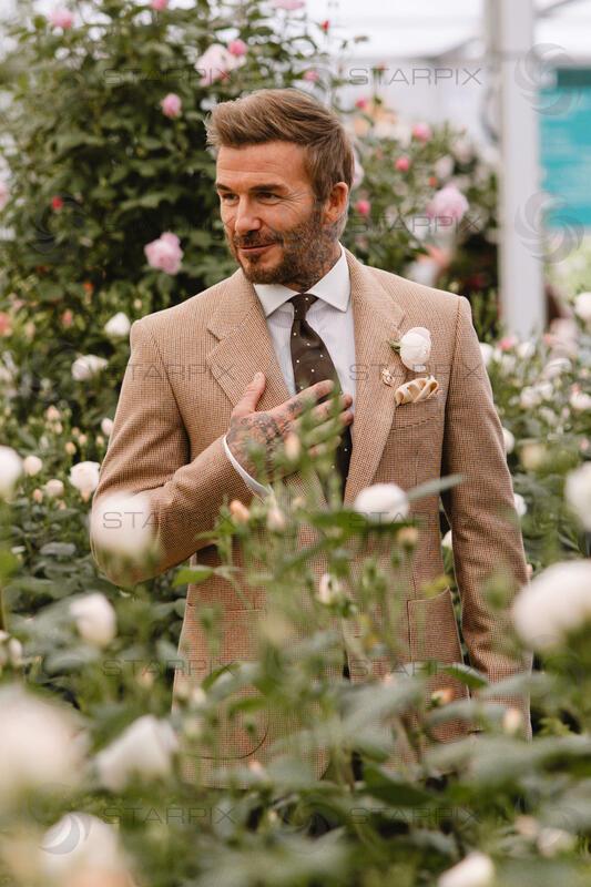 Sir David Beckham unveils new David Austin® rose named in his honour at RHS Chelsea Flower Show