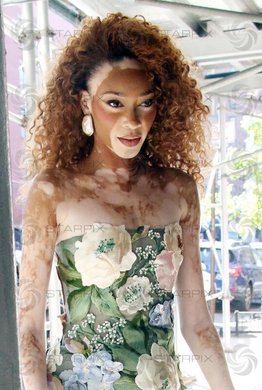 Winnie Harlow seen in New York City