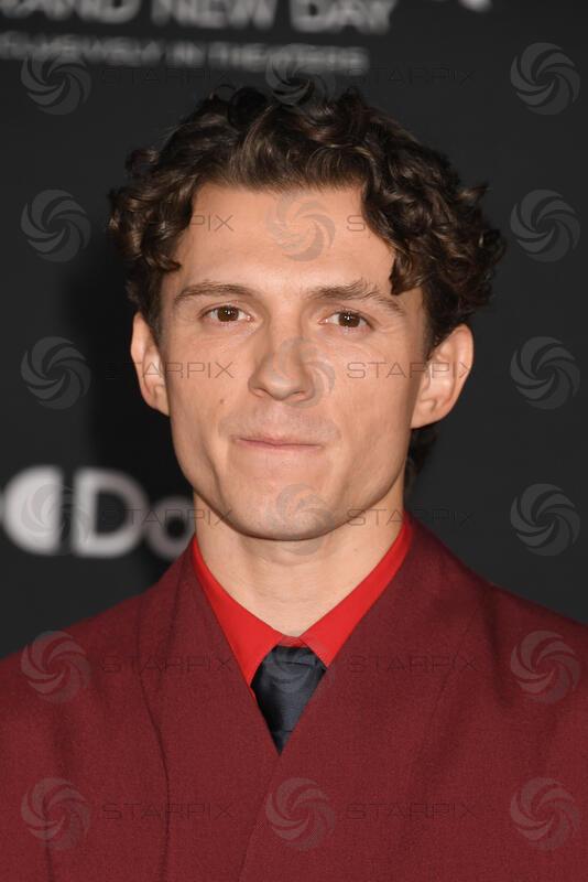 Spider-Man: Brand New Day Premiere